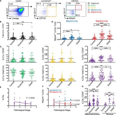 Correlation Between Immune Lymphoid Cells and Plasmacytoid Dendritic Cells in Human Colon Cancer